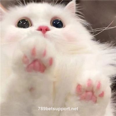 Ảnh đại diện Darlene